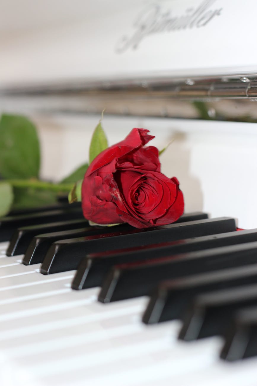 How to write a love song – three tips for beginners from a songwriting expert